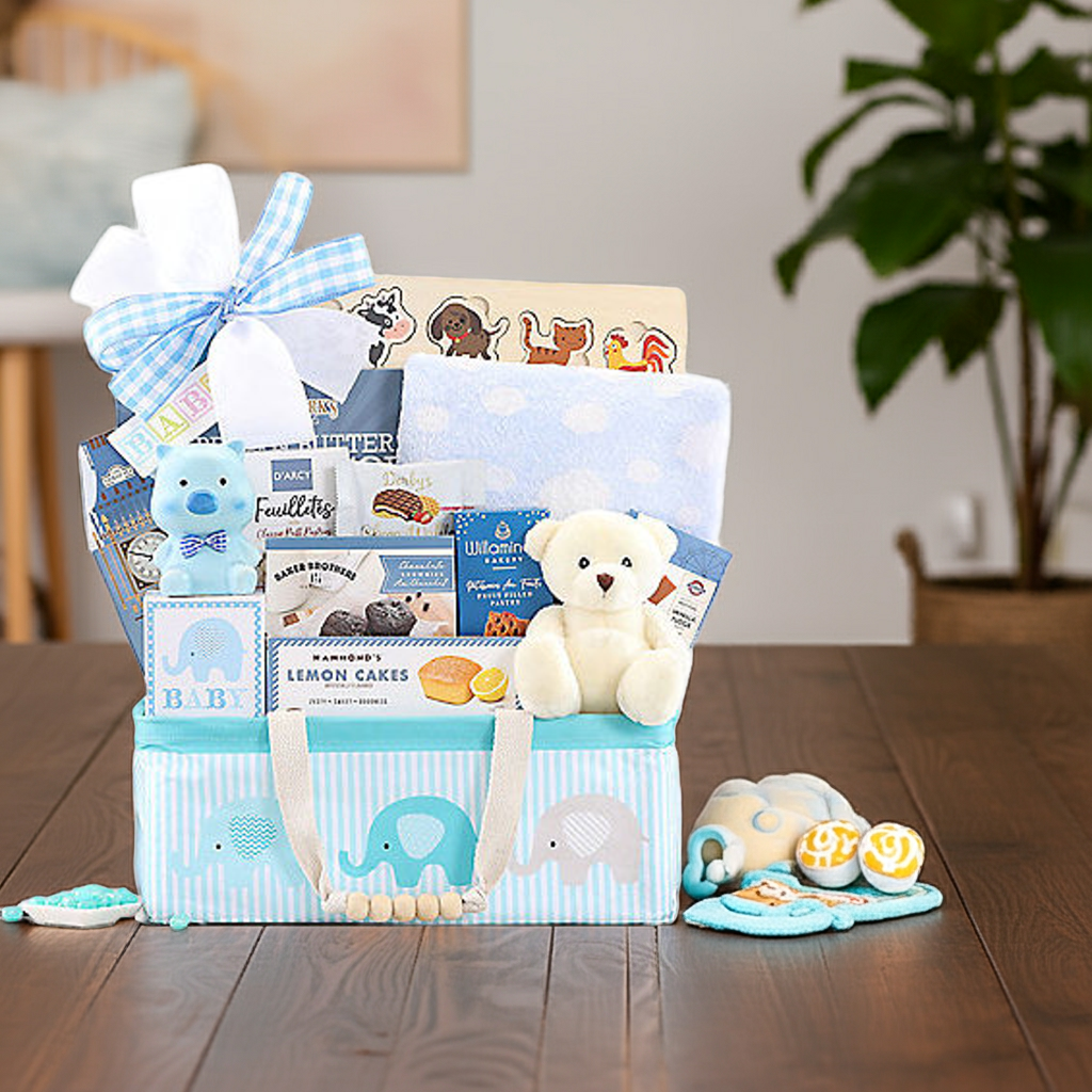 Bundle of Joy: Baby Boy Gift Basket