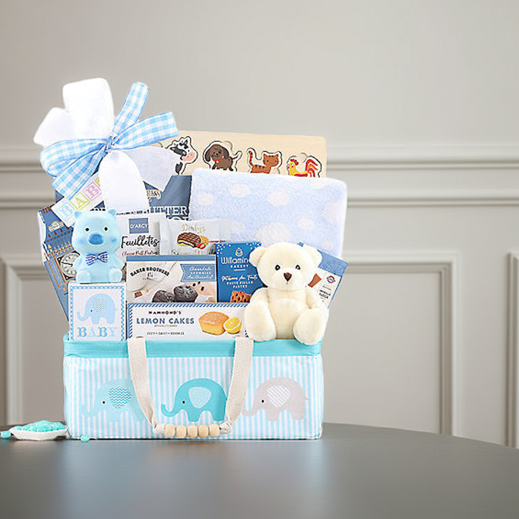 Bundle of Joy: Baby Boy Gift Basket