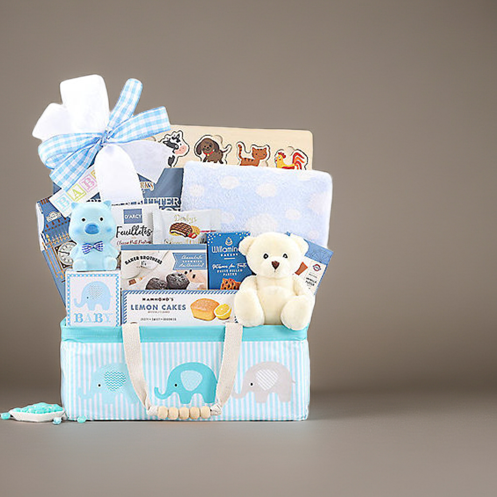 Bundle of Joy: Baby Boy Gift Basket