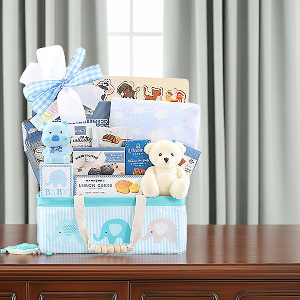Bundle of Joy: Baby Boy Gift Basket