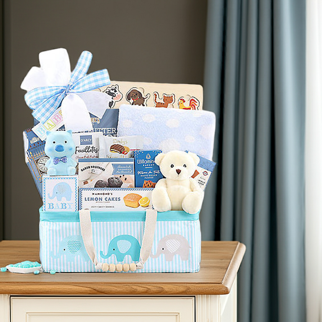 Bundle of Joy: Baby Boy Gift Basket