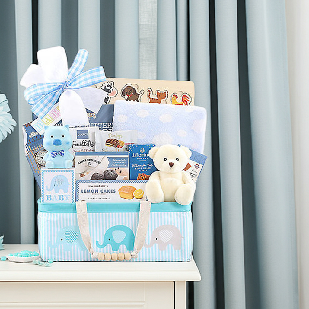 Bundle of Joy: Baby Boy Gift Basket