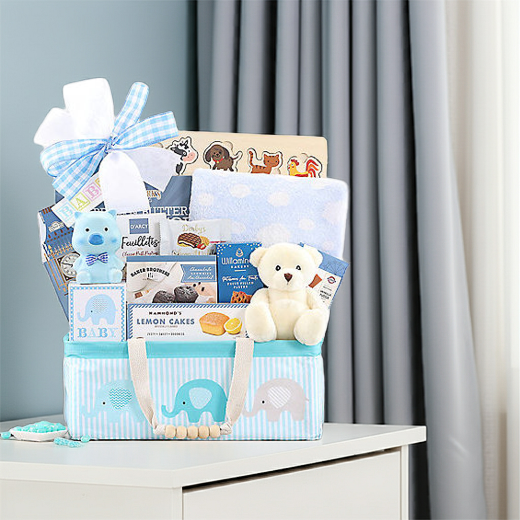 Bundle of Joy: Baby Boy Gift Basket